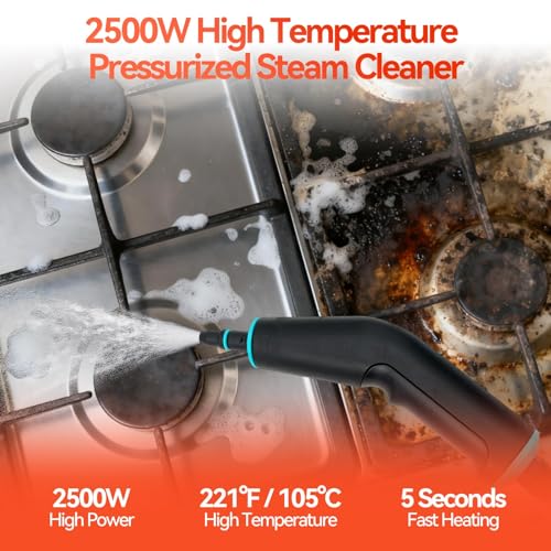 2500W Handheld Steam Cleaner, 6-Speed Portable Steamer with Large Tank & 10 Accessories, 10s Heat-Up steamer cleaning for Kitchen, Bathroom, Car Detailing, Tile & Grout Cleaning