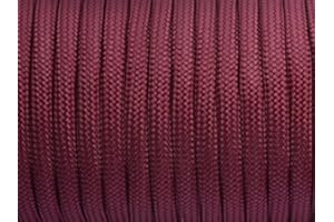 FEEJOO 7 Strand Core 550lb Paracord Parachute Cord Lanyard Mil Spec Type III-100ft (Purplish Red(73#))