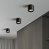 Hallway Light Flush Mount Modern LED Ceiling Light Fixtures for Kitchen Entryway,Dimmable Close to Ceiling Lighting, 4.6'' Cy
