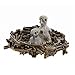 Schleich Baby Eagles in Nest Toy Figure