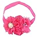 Queengirls Baby Girls Flower Headbands