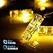 20 LED Photo Clip String lights10 Feet，Christmas Lights Starry light Wall Decoration Light Wedding Party Christmas Home Decor Lights for Hanging Photos Paintings Pictures Card and Memos(Warm White)