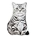 JWH 3D Animal Cat Shaped Accent Pillows Decorative Cushions Lifelike Throw Pillow Pet Creative Stuffed Plush Girls Boys Gifts Home Bed Living Room Office Farmhouse Sofa Couch Decor