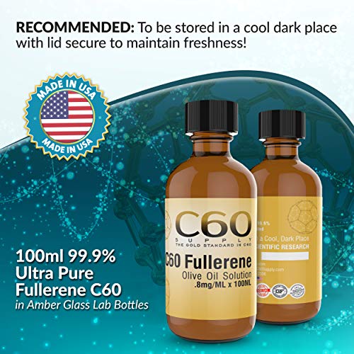 1 C60+Supplement+FULLERENE+Supplement+BUCKMINSTERFULLERENE