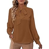 Rooscier Women's Bow Tie Neck Long Sleeve Buttton Cuff Chiffon Elegant Blouse