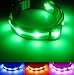 Blazin Light Up Dog Collar - The Original LED Dog Collar - USB Rechargeable - Waterproof - 1,000 Feet of Visibility - Dog Collar Light for Small, Medium, Large Dogs - USA Brand