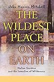 The Wildest Place on Earth: Italian Gardens and the Invention of Wilderness by John Hanson Mitchell