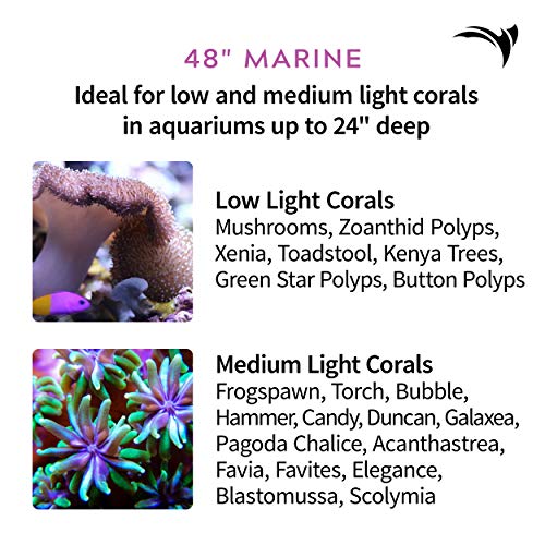 Aquatic Life Edge WiFi LED Aquarium Light, 48-Inch Marine