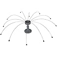 Bird Barrier Daddi Long Legs -2 Ft | Scare Birds Away with Innovative Bird Spider Design | Easy Installation on Roofs, Boats & HVAC Units | Durable Stainless Steel/Delrin