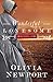 Wonderful Lonesome (Amish Turns of Time Book 1) by Olivia Newport
