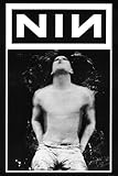 (24x36) Nine Inch Nails (Trent Reznor Blur) Music Poster Print
