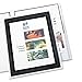 Avery Flexi-View Two Pocket Folders, Holds up to 50 Sheets, 2 Black Folders (47847)