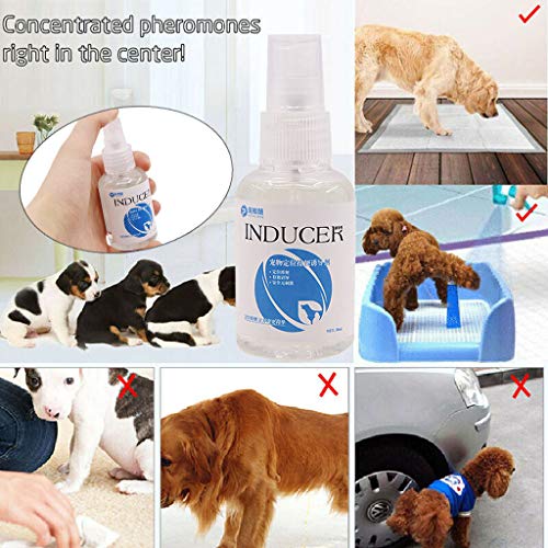 Huangou Training Aid Spray, Dog Potty Trainer, Pet Corrector Spray - Pet New Perfume Inducer Pet Spray Toilet Training Dog Positioning Defecation (White, 50ml) - Thumbnail 7