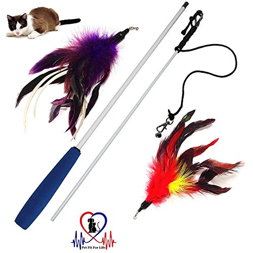 Pet Fit For Life Multi Feather Teaser and Exerciser for Cat and Kitten - Cat Toy Interactive Cat Wan - //medicalbooks.filipinodoctors.org