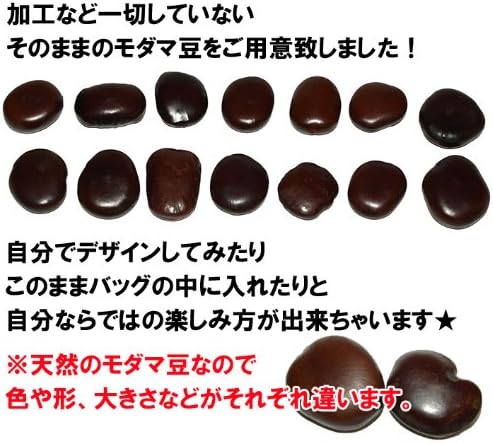 Amazon リヴェリスタ Liberista モダマ豆 単品 幸せの豆 藻玉 もだま モダマ 豆 アソート アジアン 雑貨 Liberista 生活雑貨 通販