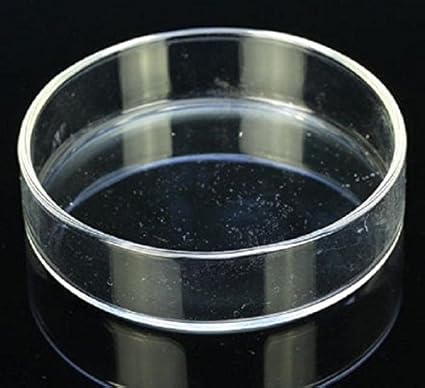 Buy Pinkdose White S Hot Sale Round Aquarium Shrimp Food Feeder