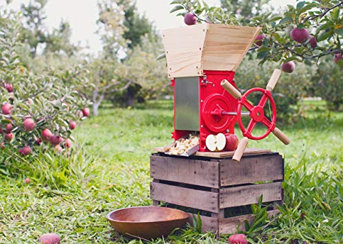 Weston Apple and Fruit Crusher (05-0201), Cast Iron Construction, Stainless Steel Chute & Crushing Blades (Certified Refurbished) - Thumbnail 4