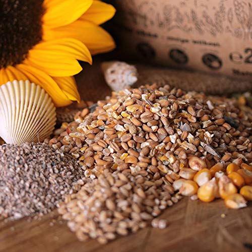 FederGold Körnermix â Hochwertige Getreidemischung für Wachteln, Hühner, Enten & Co. â Natürliche Energie & Verdauungsförderung mit Grit â Regional & Ohne Gentechnik – Bild 3
