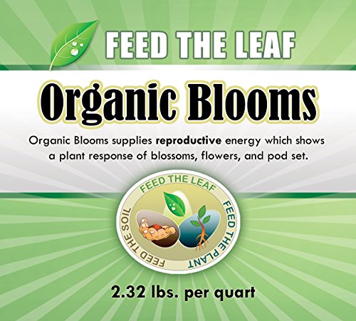 Organic Blooms - With a Simple Foliar Spray You can Initiate Flowering On Demand. Just Mix with Water and Lightly Mist Strawberries, Flowers, Tomatoes, and all Reproductive Crops. 32 Oz.