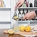 Zestkit Lemon Press/Lemon Squeezer, Lime Juicer with Ergonomic Stainless Steel Handle, Citrus Hand Juicer for Fruit or Vegetables(an Additional Lemon Zester Included)