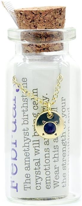Lucky Feather Crystal Birthstone Necklace Message in a Bottle Pendant for Women and Girls, 14K Gold Dipped with Adjustable Chain Birthstone Necklace
