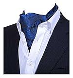 MENDENG Men's Blue Paisley Jacquard Woven Silk Cravat Necktie Scarf Formal Ascot