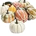 Autumn Inspirations Mixture of Assorted Gourds and Pumpkins Fall Decoration, 12 Piece
