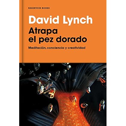 Atrapa el pez dorado: Meditación, conciencia y creatividad