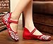 AvaCostume Women's Chinese Embroidery Casual Mary Jane Travel Walking Shoes Red 38