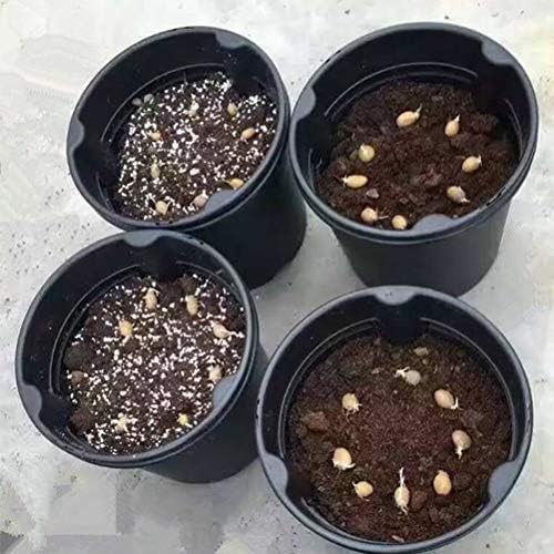 Plástico Siembra Macetas con Drenaje Vivero Tomates en Maceta ...