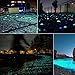 Boomile 200Pack Glow in the Dark Garden Pebbles for Walkways/ Outdoor Decor/ Aquarium/ Fish Tank, Outdoor Garden Decorative Stones in Blue & Green ATSC-520