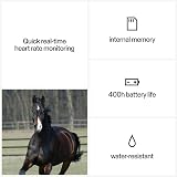 Polar H10 Heart Rate Sensor Equine with Handle Unisex Adult Black One Size view 3