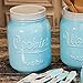 Mason Cookie Jar With Lid - Large Airtight Ceramic Kitchen Canister - Vintage Farmhouse Storage Jars with Lids - Rustic Decorative Air Tight Container For Cookies, Cracker, and Other Snacks (Blue)