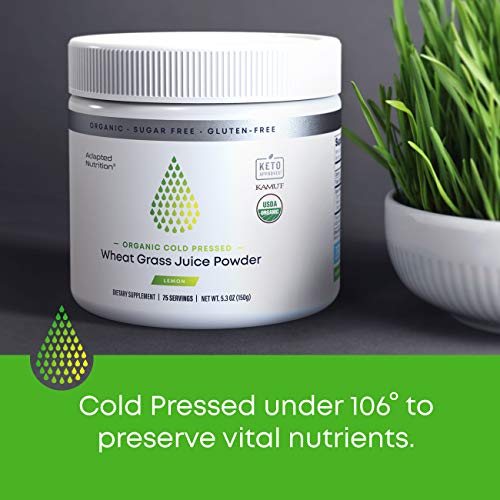 Organic Wheatgrass Juice Powder with Kamut 75 Servings Chlorophyll