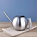 IMEEA Watering Can for Indoor House Plants Long Spout Brushed Stainless Steel Watering Pot, 45oz/1.3L