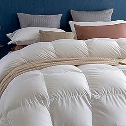 Royoliving Premium Greyduck Feathers Down Comforter