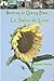 Montcuq en Quercy Blanc Le salon du livre (French Edition) by Stéphane Ternoise