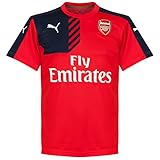 2015-2016 Arsenal Puma Training Shirt (Red)