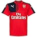 2015-2016 Arsenal Puma Training Shirt (Red)