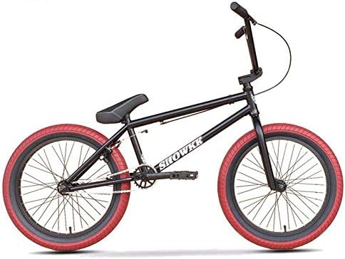 SWORDlimit BMX Bike for Kids and Adults, Children and Beginner-Level to Advanced Riders, 20 Inch Wheels, Hi-Ten CRMO Steel Frame, 25X9t BMX Gearing