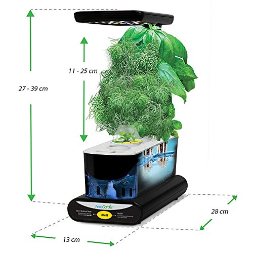Comprar AeroGarden Sprout - Kit de cultivo interior smart garden, 3