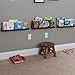 Wallniture Denver Floating Wall Shelf, Wall Mounted Photo Ledge and Bookshelf Black 22 Inch