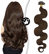 Moresoo U Tip Human Hair Extensions Wavy Brown Fusion Hair Extensions 16 Inch Colored #4 Dark Bro...