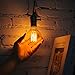 Vintage Light Bulb, Elfeland Antique Retro Edison Bulb 60w E26 E27 Medium Base Globe Incandescent Light Bulbs G80 Dimmable for Pendant Lighting Wall Sconces Ceiling Fan (2 Pack)
