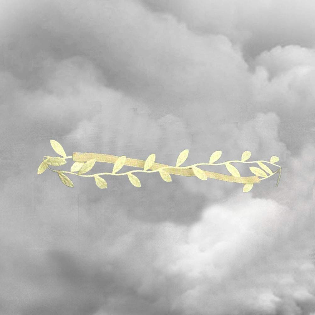 Amor Present Baby Angel Wings, Newborn Baby Gold Feather Angel Wings with Headband Infant Costume Photo Prop Outfit Easter April Fools Day Gift