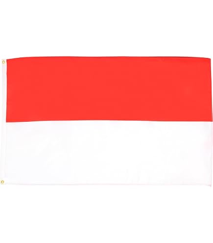 AZ FLAG Monaco Flag - 90x60 Cm (3x2 Feet), 100% Knitted Polyester, Outdoor Durable With Brass Grommets - View #7