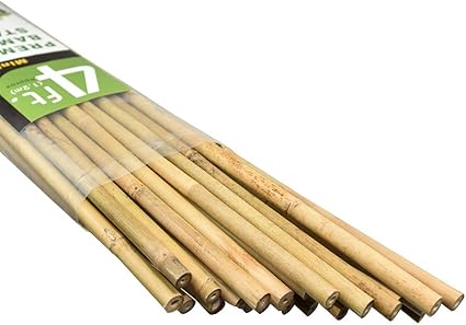 Amazon Com Mininfa Natural Bamboo Stakes 4 Feet Eco Friendly Garden Stakes Plant Stakes Supports Climbing For Tomatoes Trees Beans 25 Pack Garden Outdoor