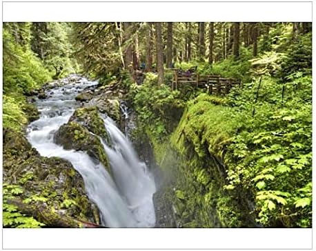 Amazon の写真印刷sol Duc Falls オリンピック国立公園 世界遺産 ワシントン アートフレーム ポスター オンライン通販