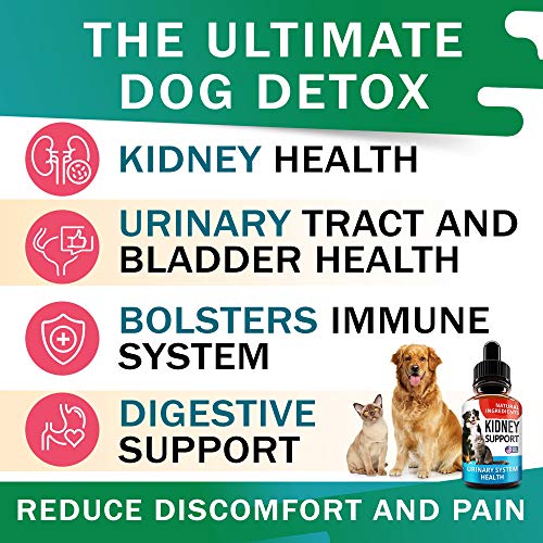 hewbo-UTI-Treatment-for-Cats-and-Dogs-Kidney-Support-for-Pets-Bladder-Urinary-Support-Cranberry-Echinacea-Pumpkin-Feline-Renal-Support-Supplemen-2oz-Made-in-USA