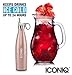 ICONIQ Stainless Steel Vacuum Insulated Water Bottle with Pop Up Straw Cap, 17 Ounce (Rose Gold/Gray)